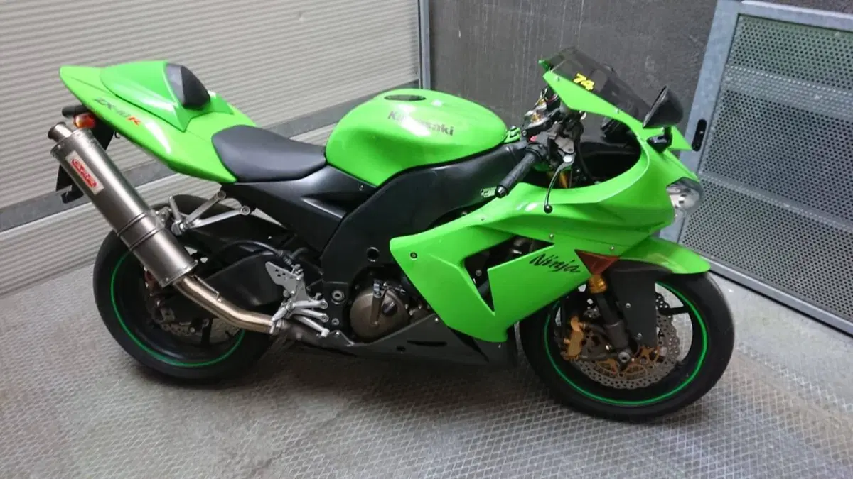 Kawasaki Ninja 1000 ZX-10R (2004 - 05) (5)