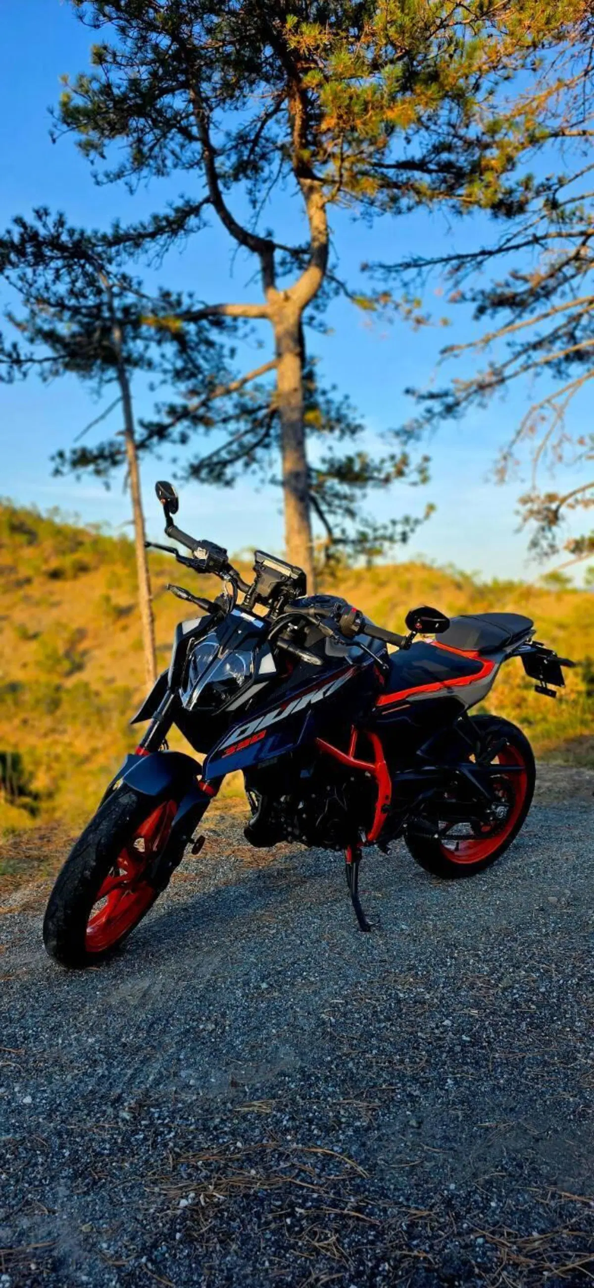 KTM 390 Duke (2024 - 25)