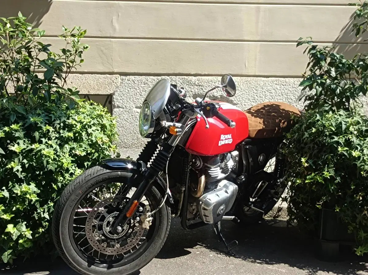 Royal Enfield Continental GT 650 (2021 - 26) (2)