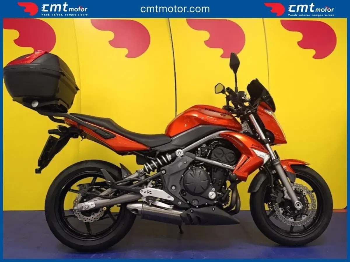 Kawasaki ER-6N (2009 - 11)