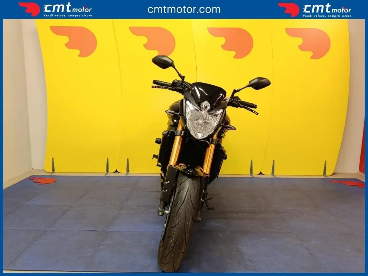 Yamaha FZ8 (2010 - 12) (2)