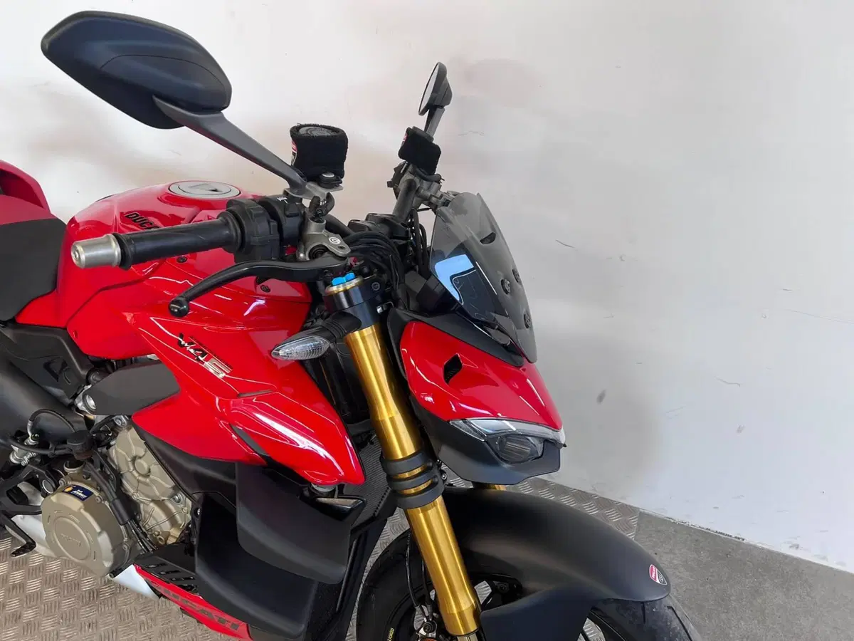 Ducati Streetfighter V4 S (2023 - 24) (10)