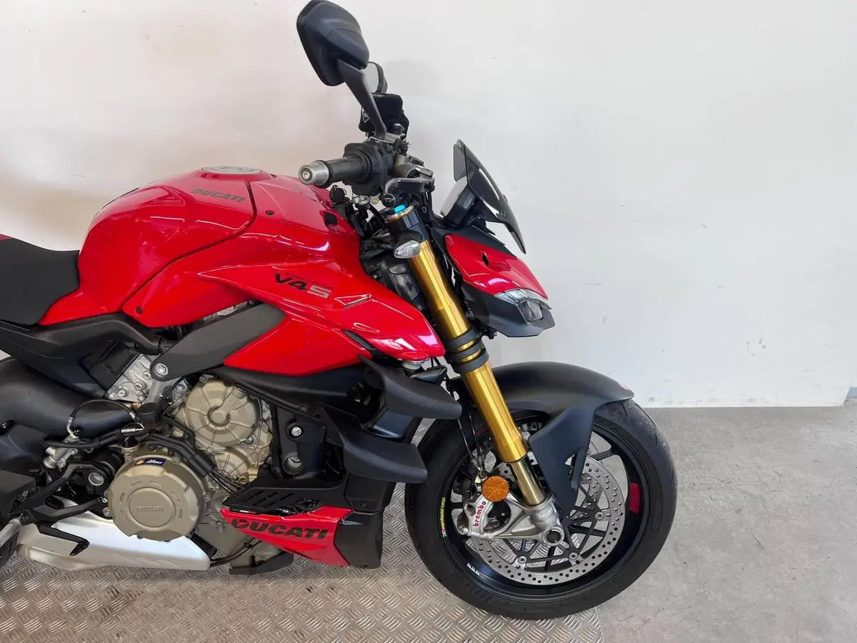Ducati Streetfighter V4 S (2023 - 24) (11)