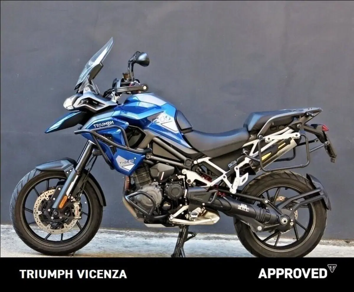 Triumph Tiger 1200 GT Pro (2022 - 23) (6)