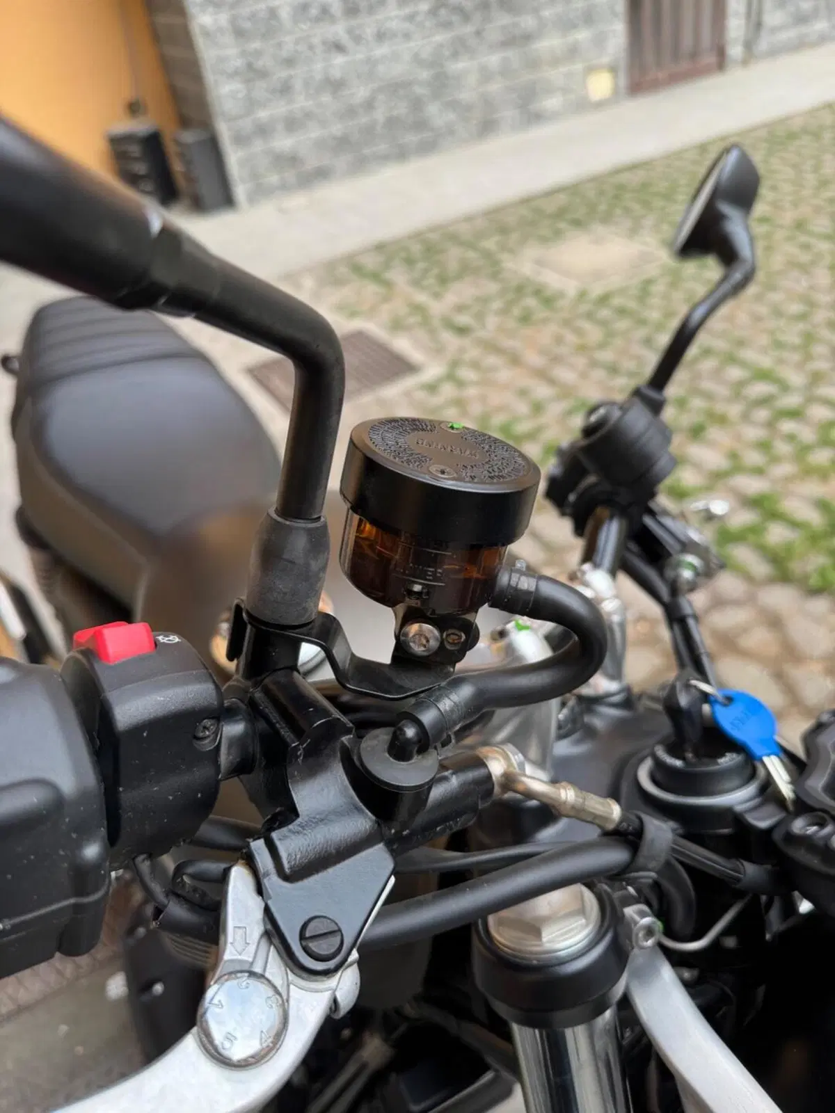Triumph Speed Twin 900 (2023 - 24) (6)