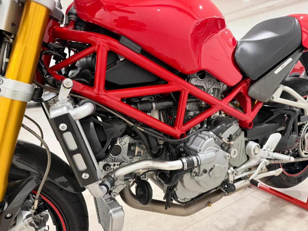 Ducati Monster S4Rs Testastretta (8)