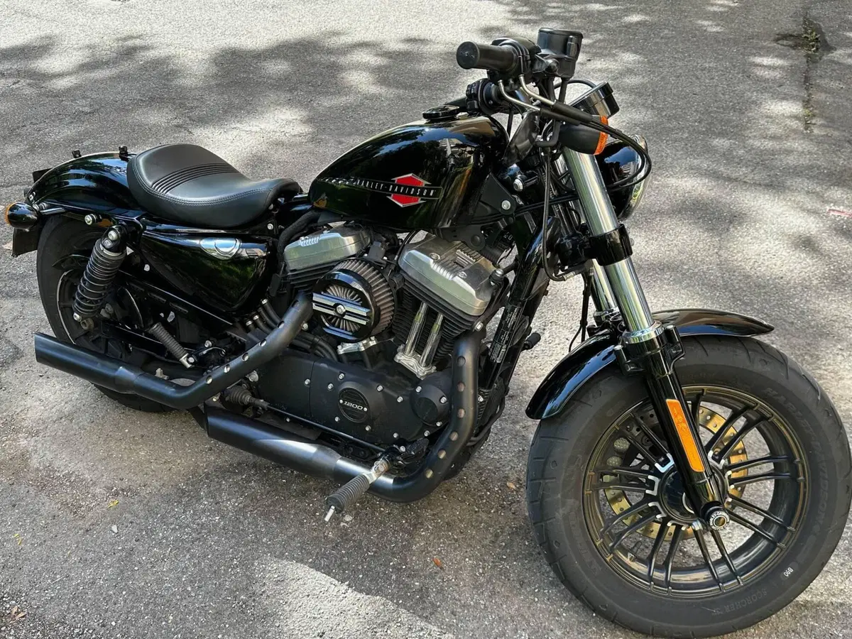 Harley-Davidson 1200 Forty-Eight (2016 - 20) (2)