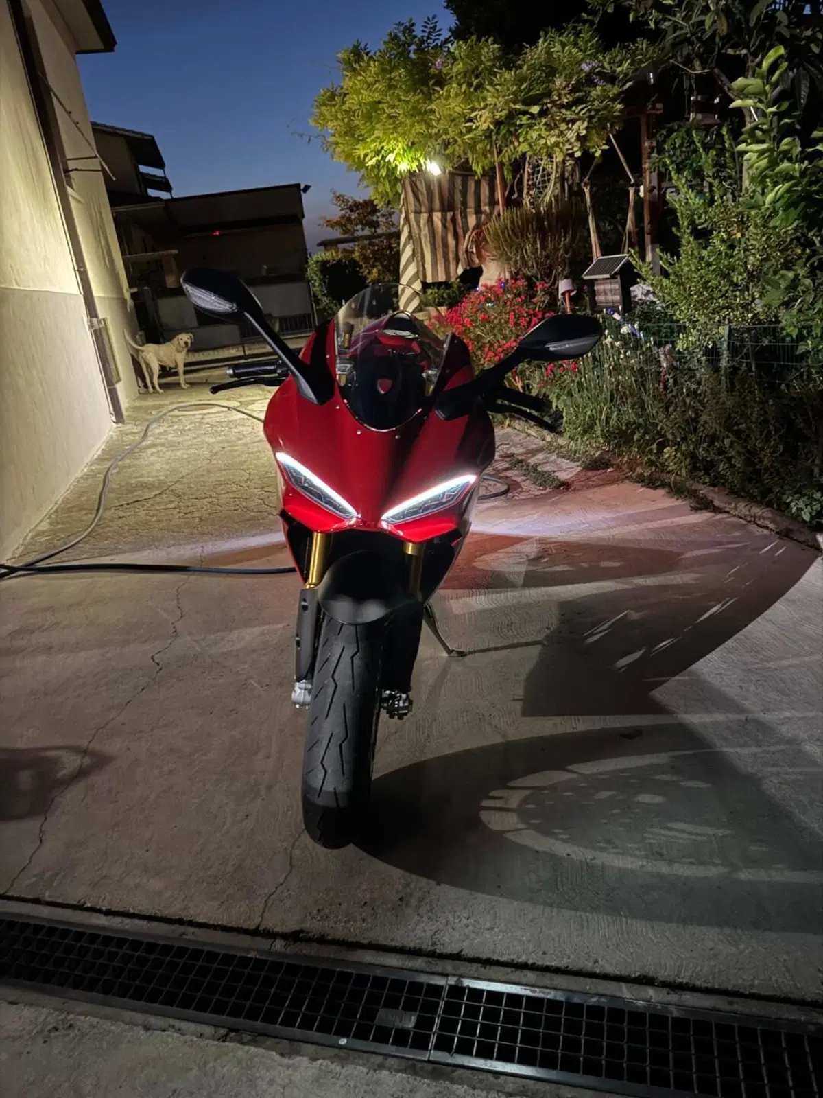 Ducati Panigale V2 S (2025 - 26) (3)
