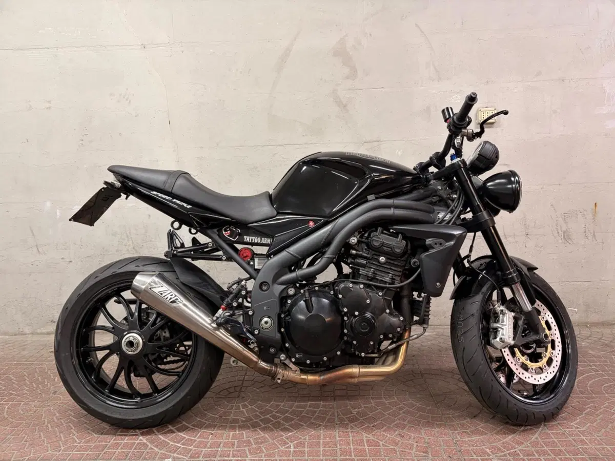 Triumph Speed Triple 1050 (2005 - 11) (2)