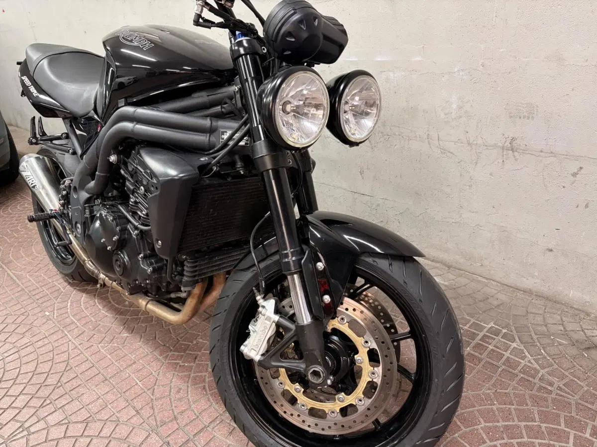Triumph Speed Triple 1050 (2005 - 11) (3)
