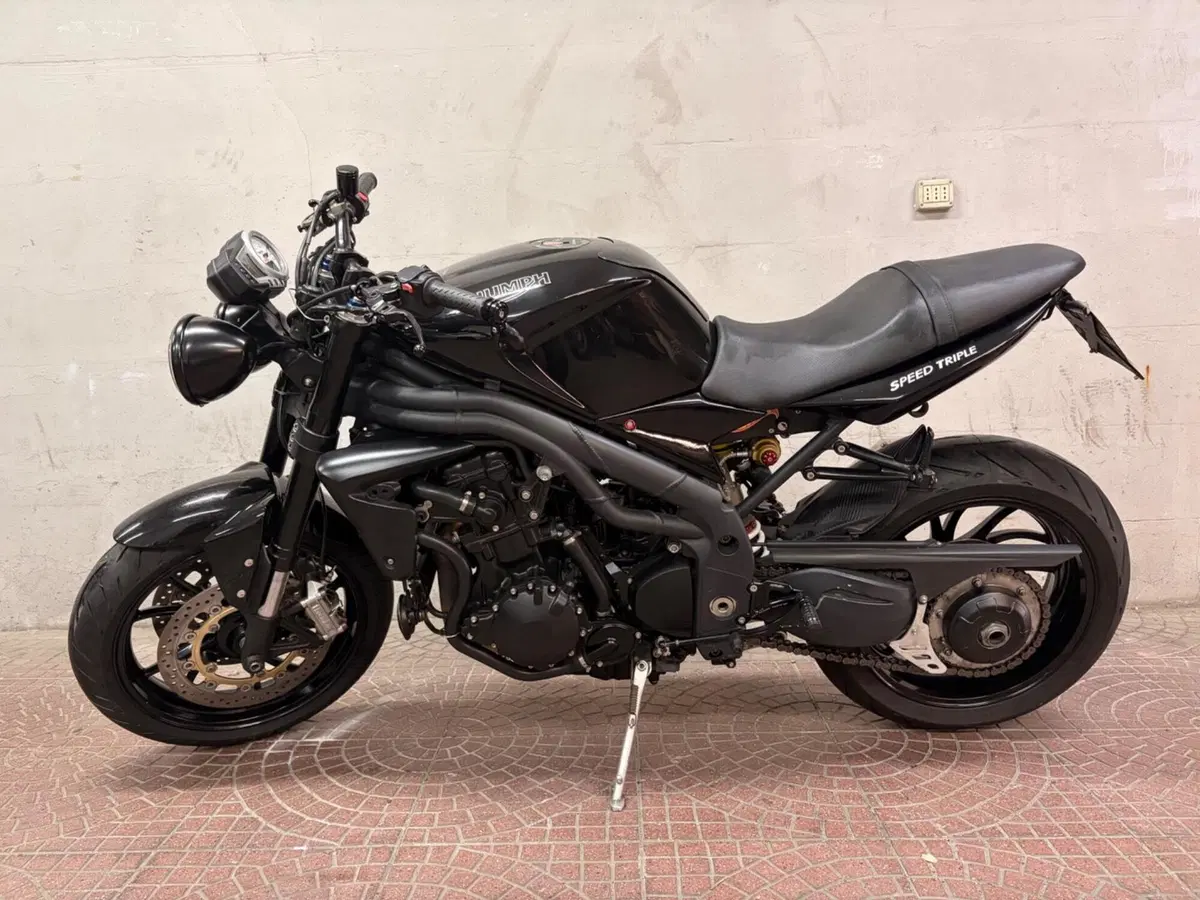 Triumph Speed Triple 1050 (2005 - 11) (5)