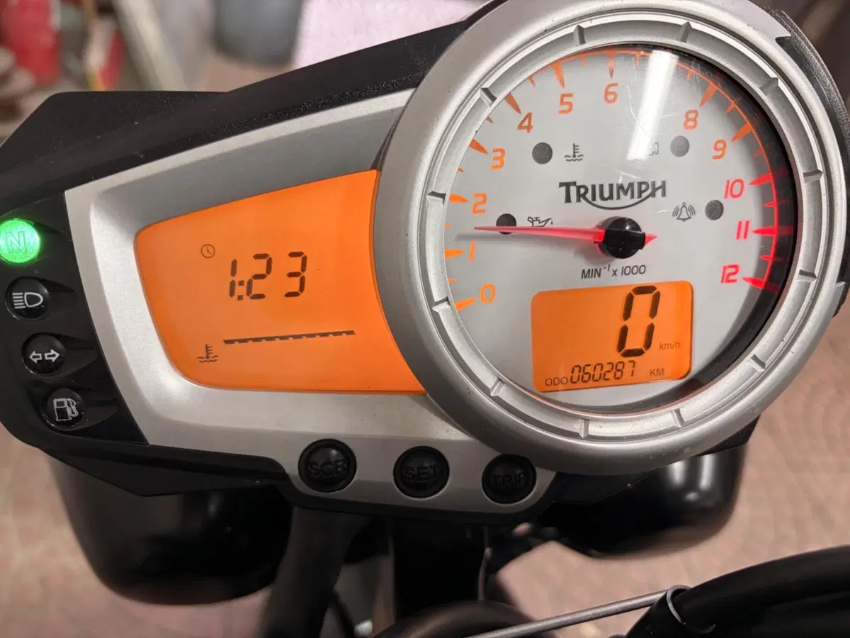 Triumph Speed Triple 1050 (2005 - 11) (7)