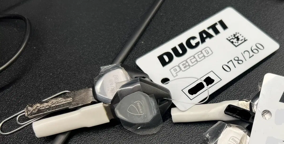 Ducati Panigale V4 Bagnaia 2022 World Champion Replica (2023) (3)