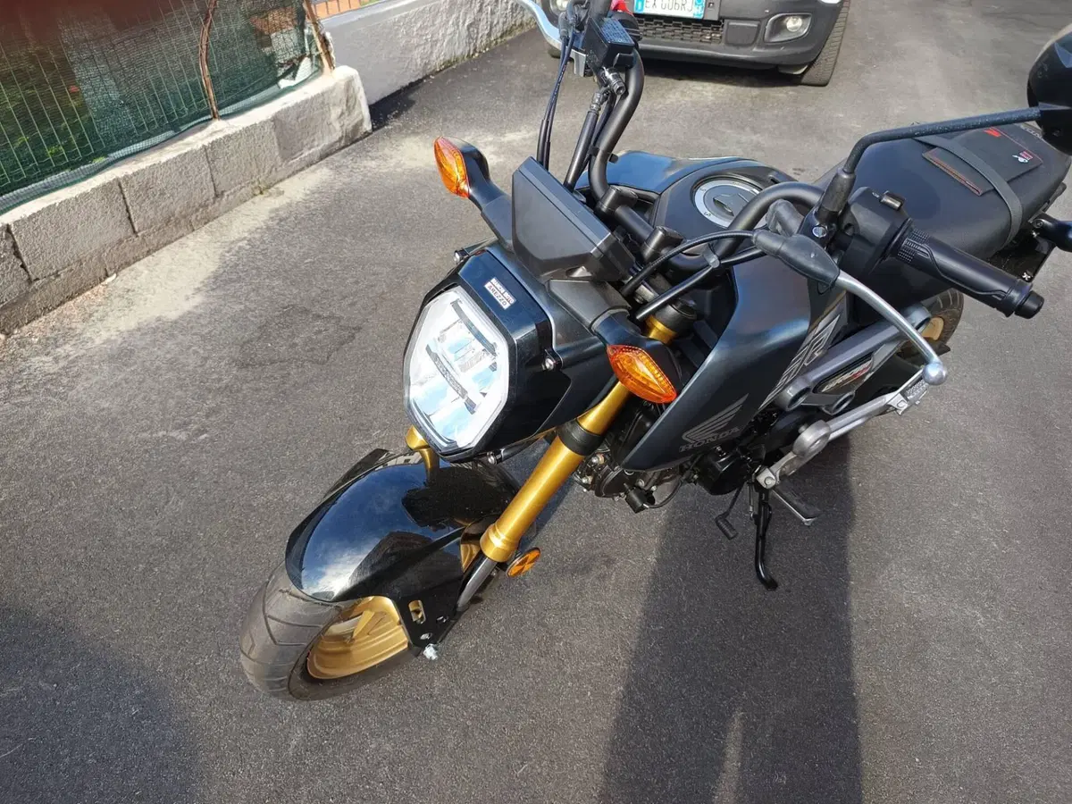Honda MSX 125 Grom (2021 - 26) (5)