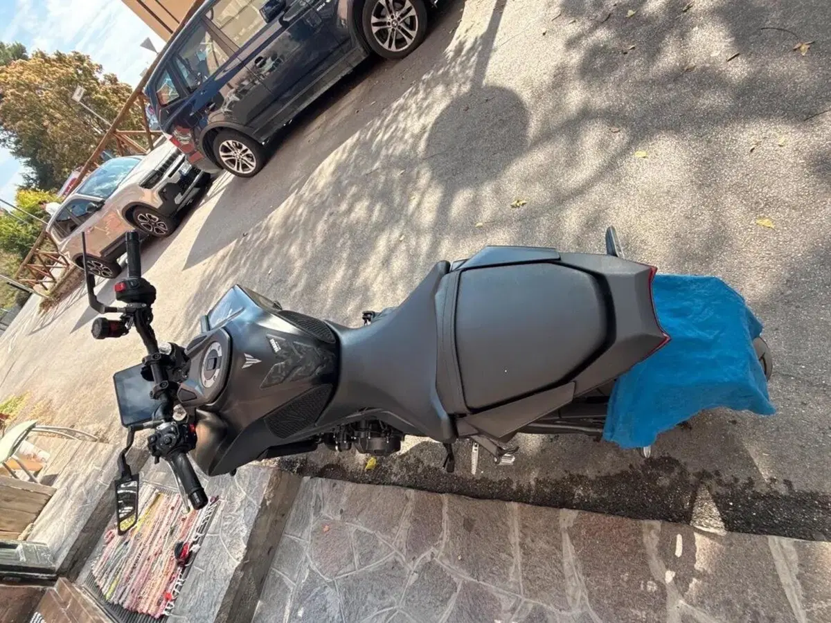 Yamaha MT-09 (2024 - 26) (3)