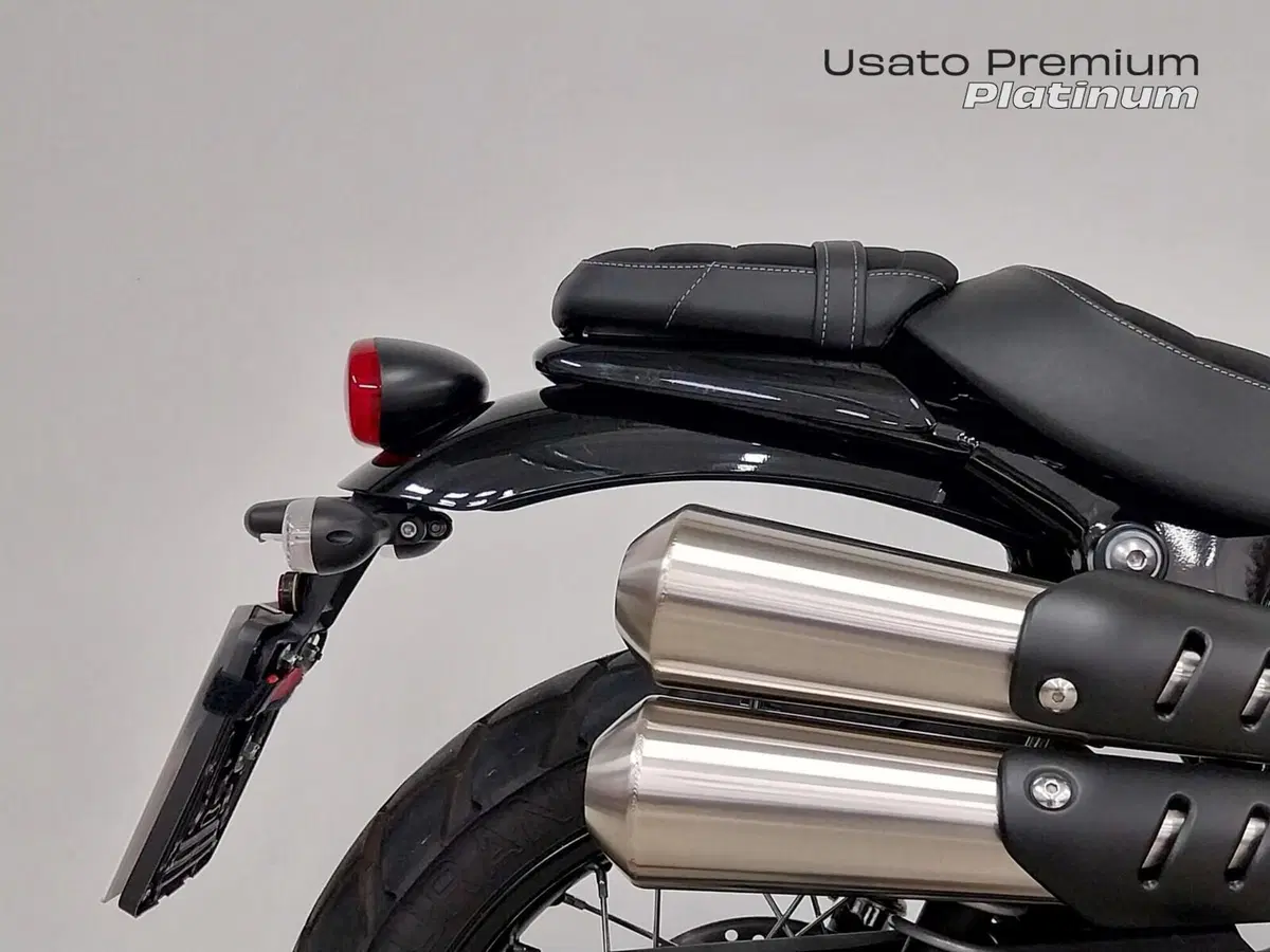 Triumph Scrambler 900 (2023 - 25) (6)