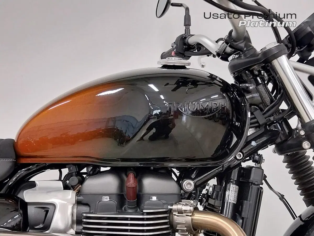 Triumph Scrambler 900 (2023 - 25) (8)