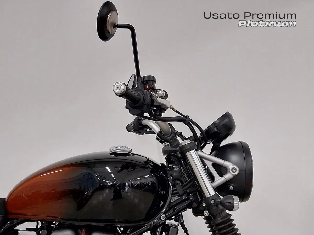 Triumph Scrambler 900 (2023 - 25) (9)