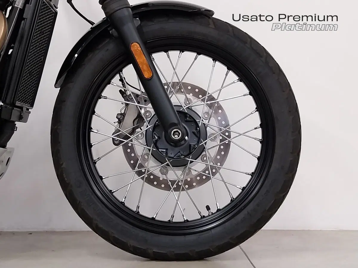 Triumph Scrambler 900 (2023 - 25) (13)