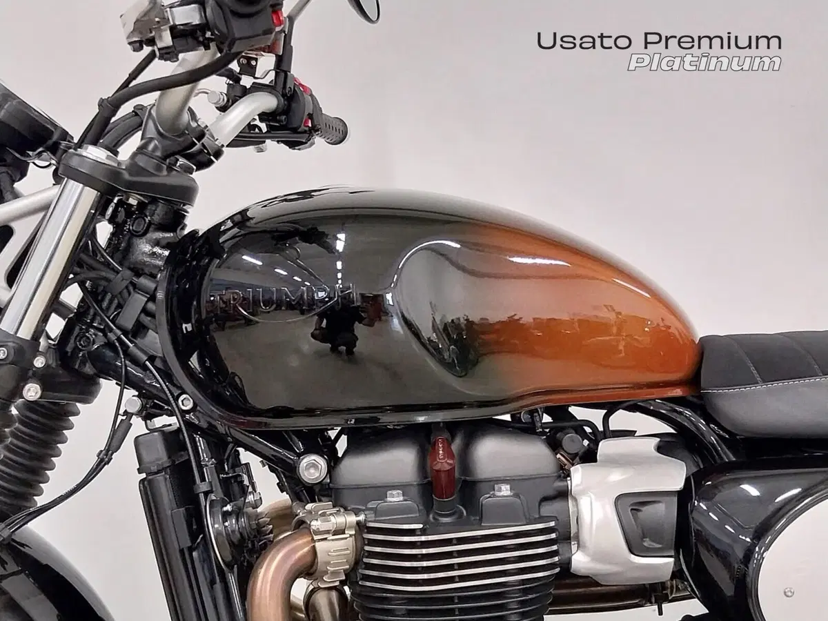 Triumph Scrambler 900 (2023 - 25) (15)