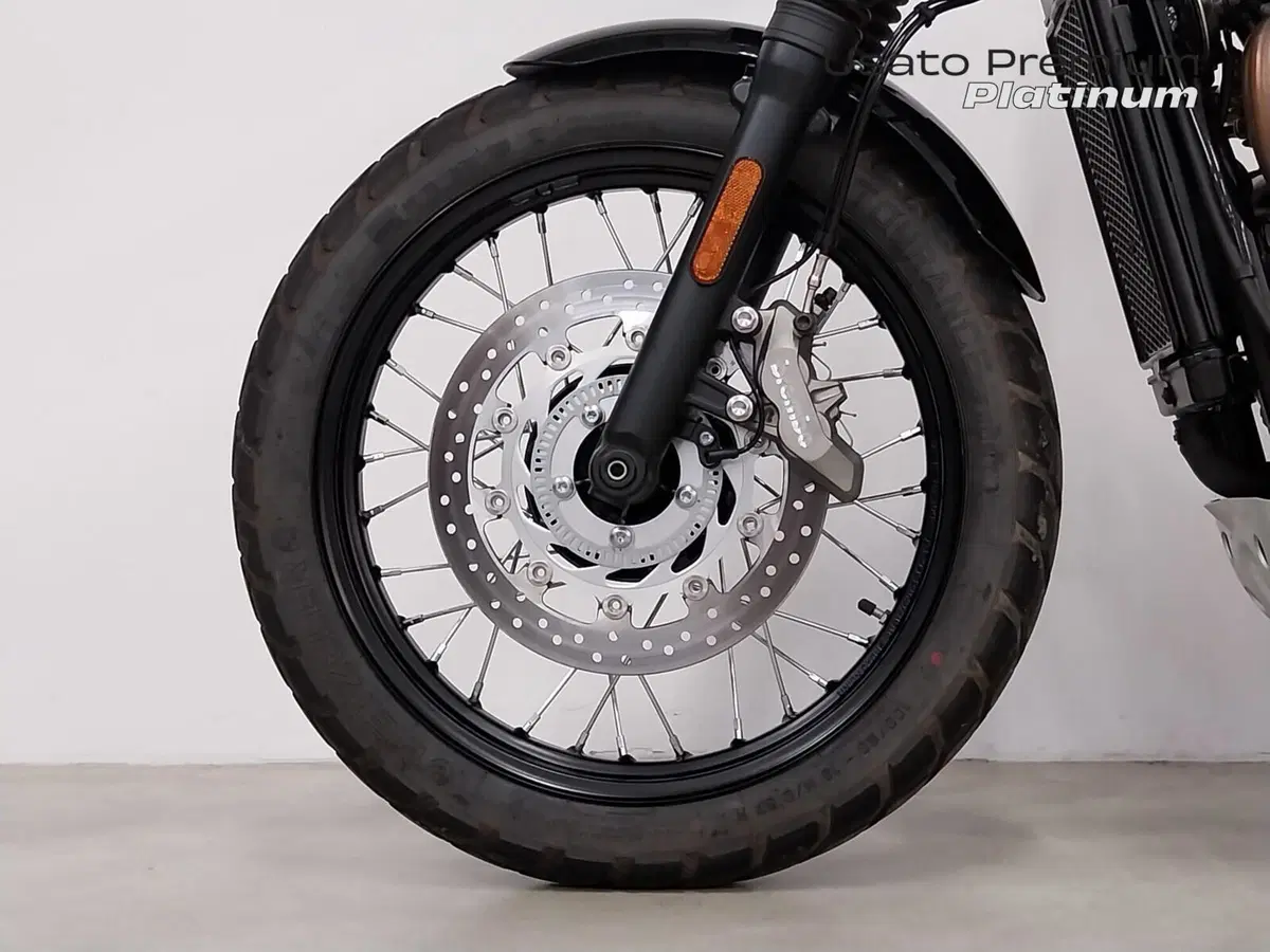 Triumph Scrambler 900 (2023 - 25) (18)