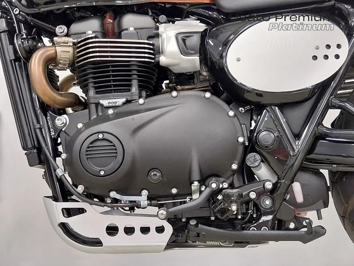 Triumph Scrambler 900 (2023 - 25) (19)