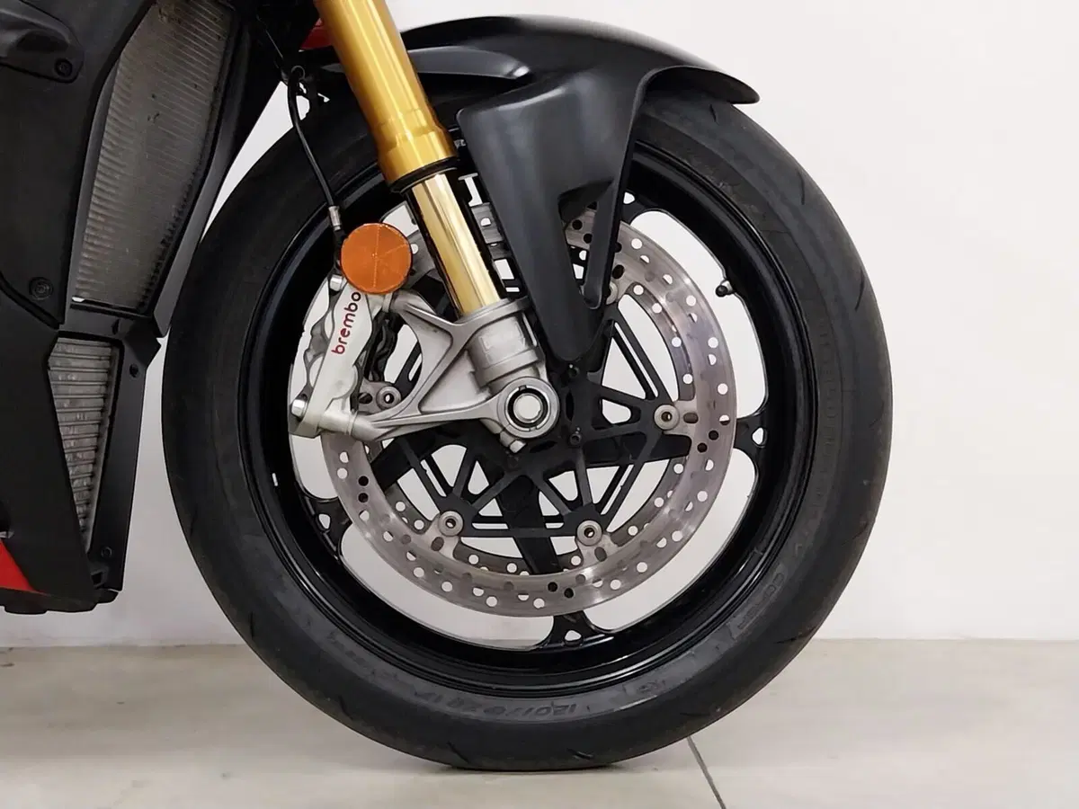 Ducati Streetfighter V4 S (2025 - 26) (13)