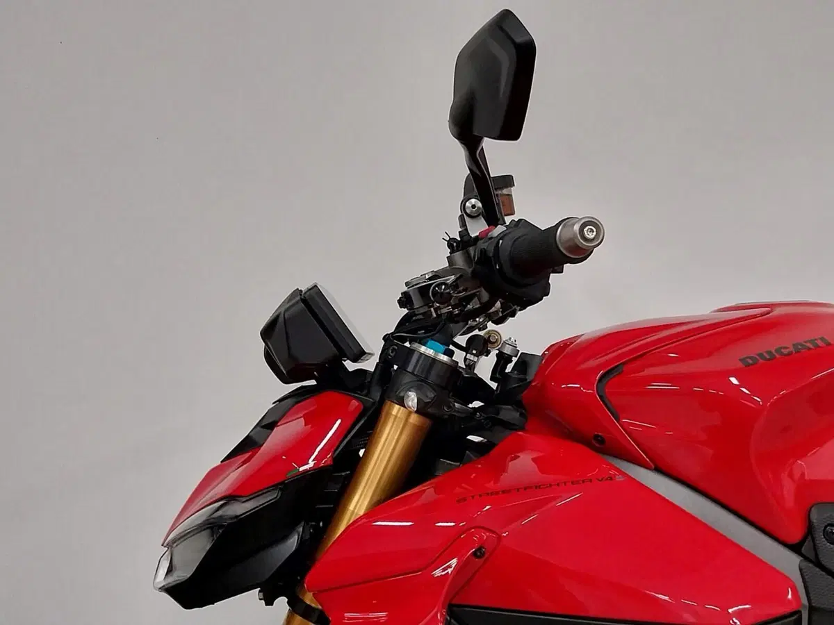 Ducati Streetfighter V4 S (2025 - 26) (14)