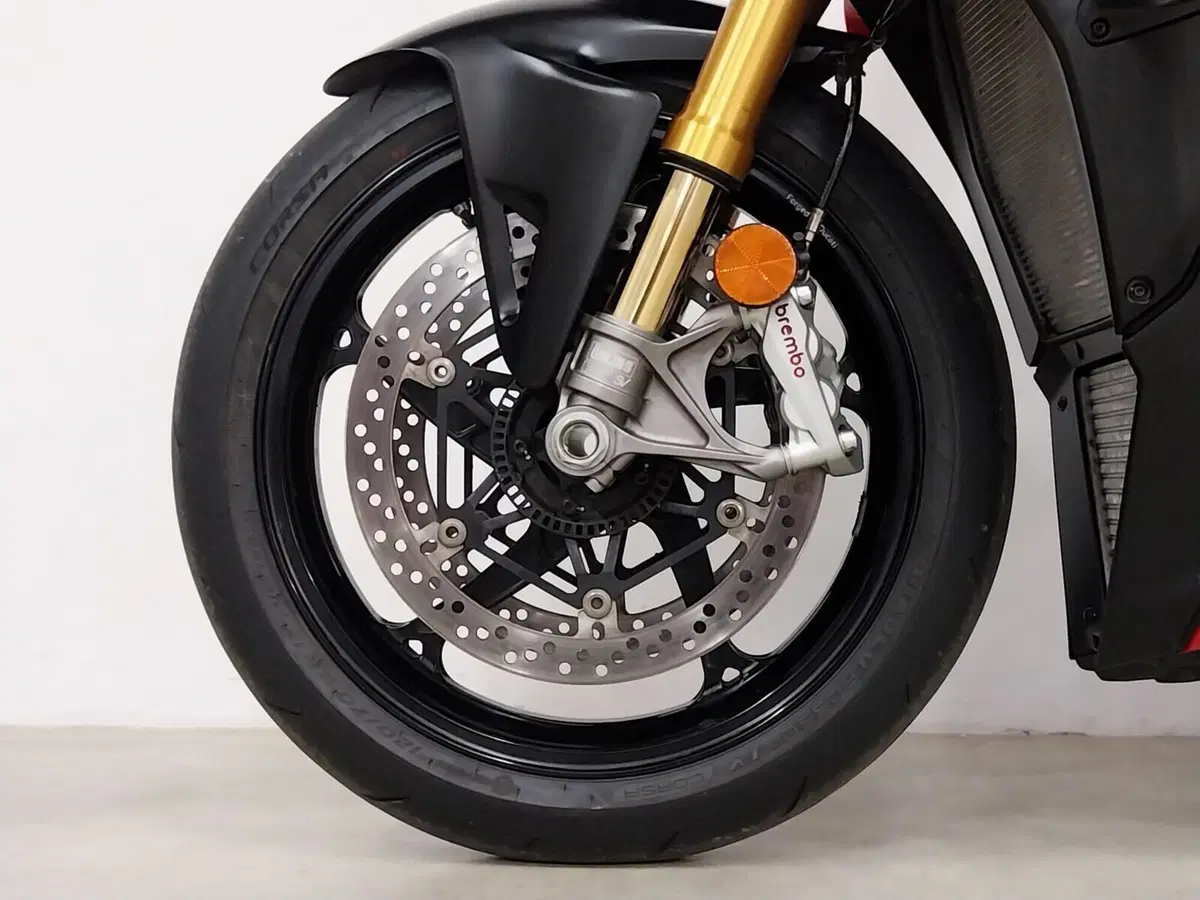 Ducati Streetfighter V4 S (2025 - 26) (18)