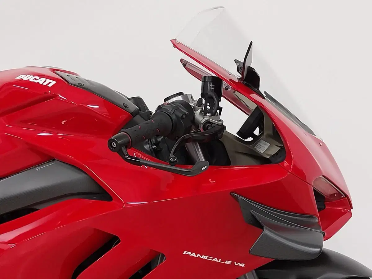 Ducati Panigale V4 1100 (2020) (9)