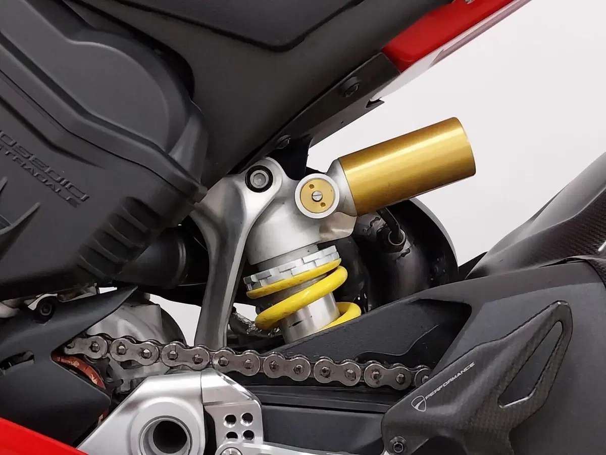 Ducati Panigale V4 1100 (2020) (20)