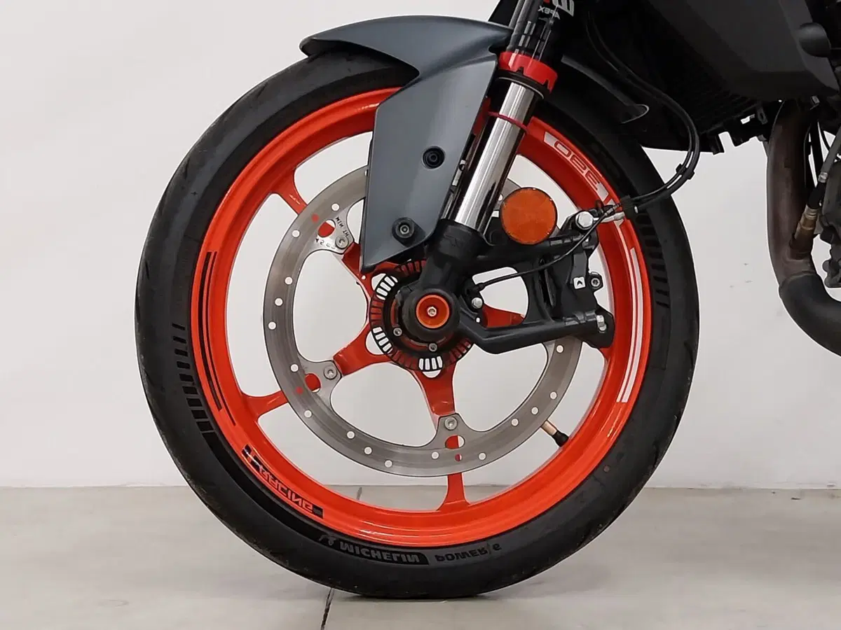 KTM 390 Duke (2024 - 25) (18)