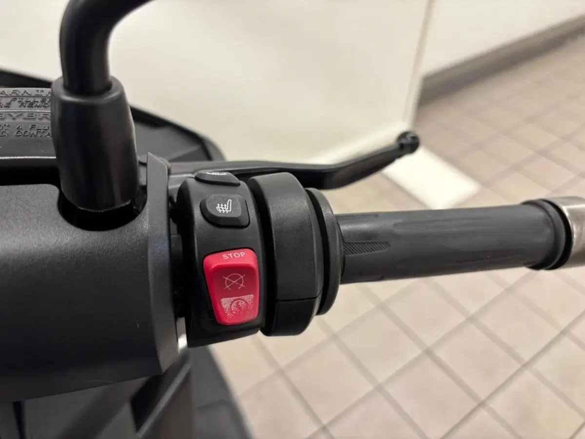 Bmw C 400 GT (2019 - 20) (8)