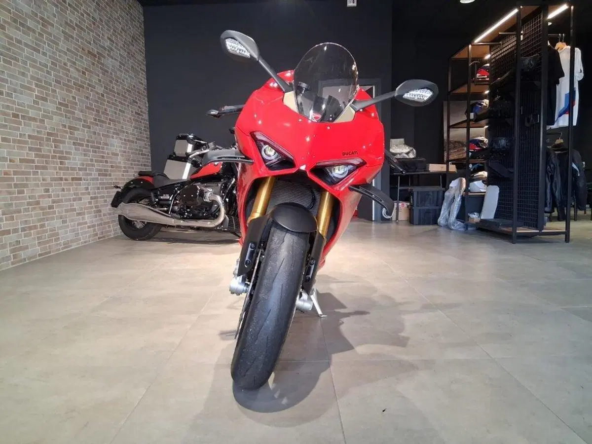 Ducati Panigale V4 S (2022 - 24) (3)
