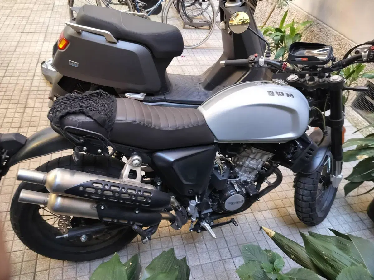 Swm Outlaw 125 (2019 - 20) (2)