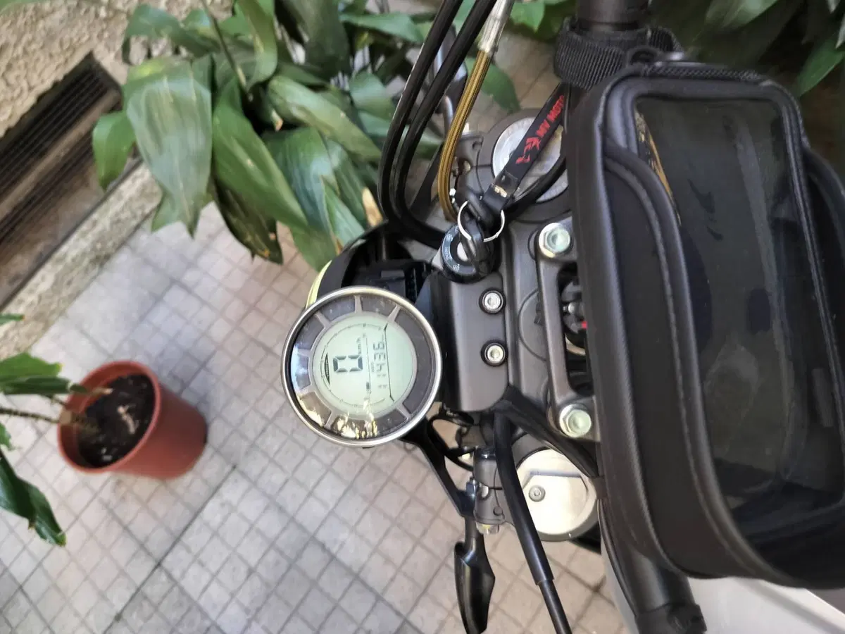 Swm Outlaw 125 (2019 - 20) (5)