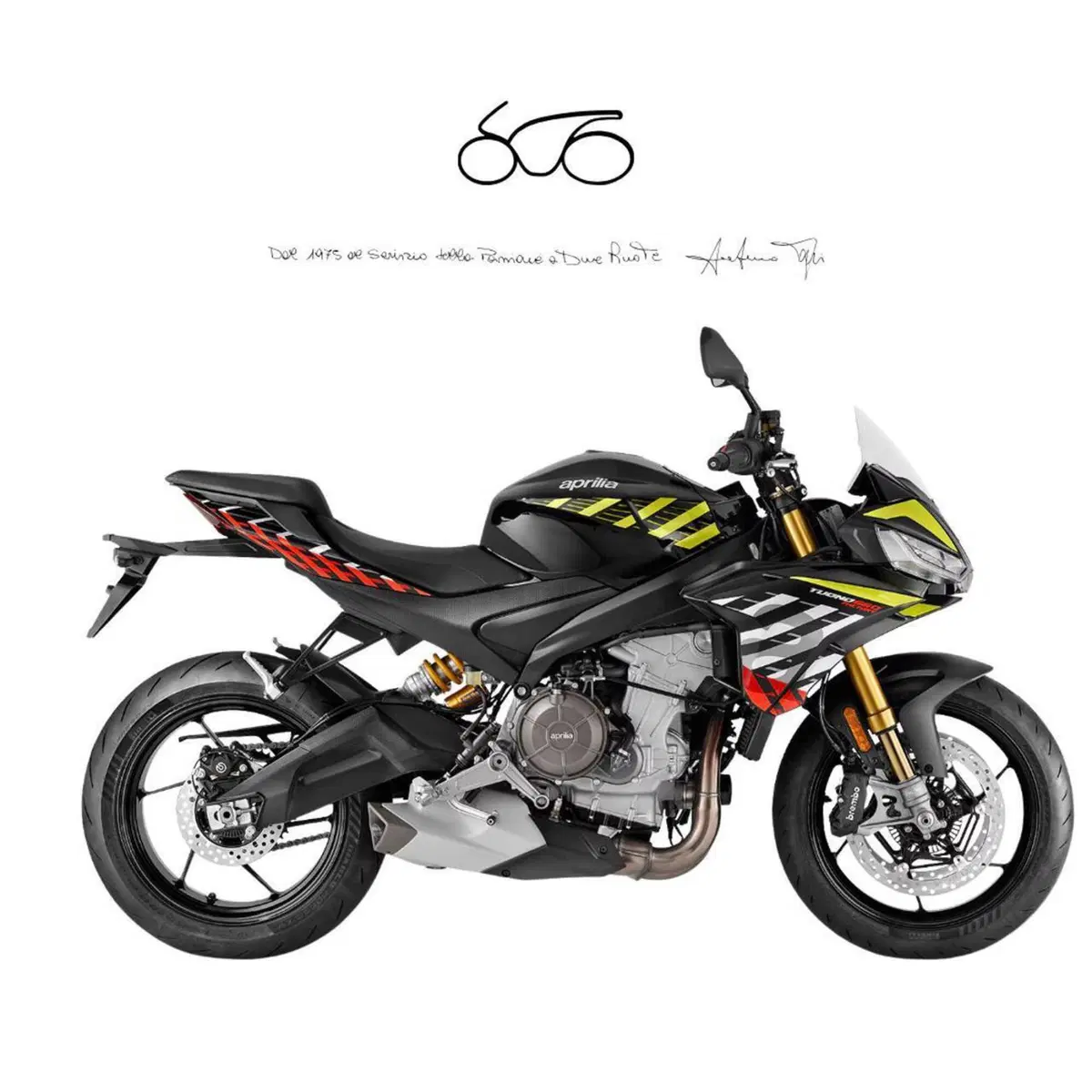 Aprilia Tuono 660 Factory (2025 - 26)