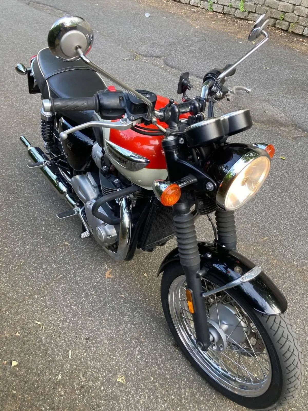 Triumph Bonneville T100 (2017 - 20) (3)