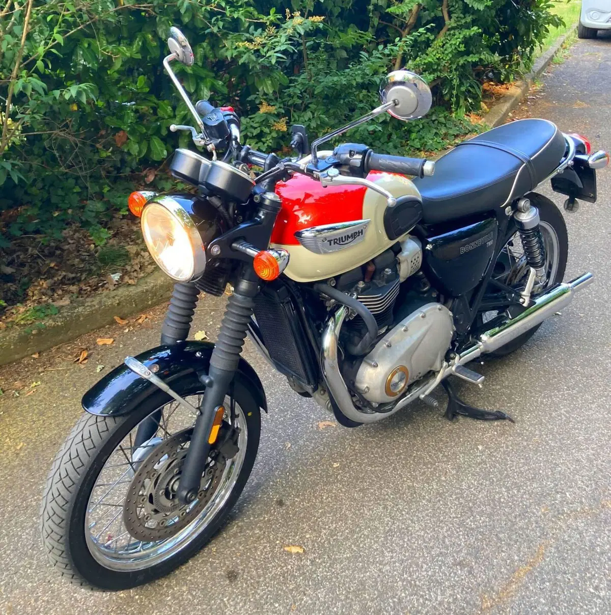 Triumph Bonneville T100 (2017 - 20) (6)