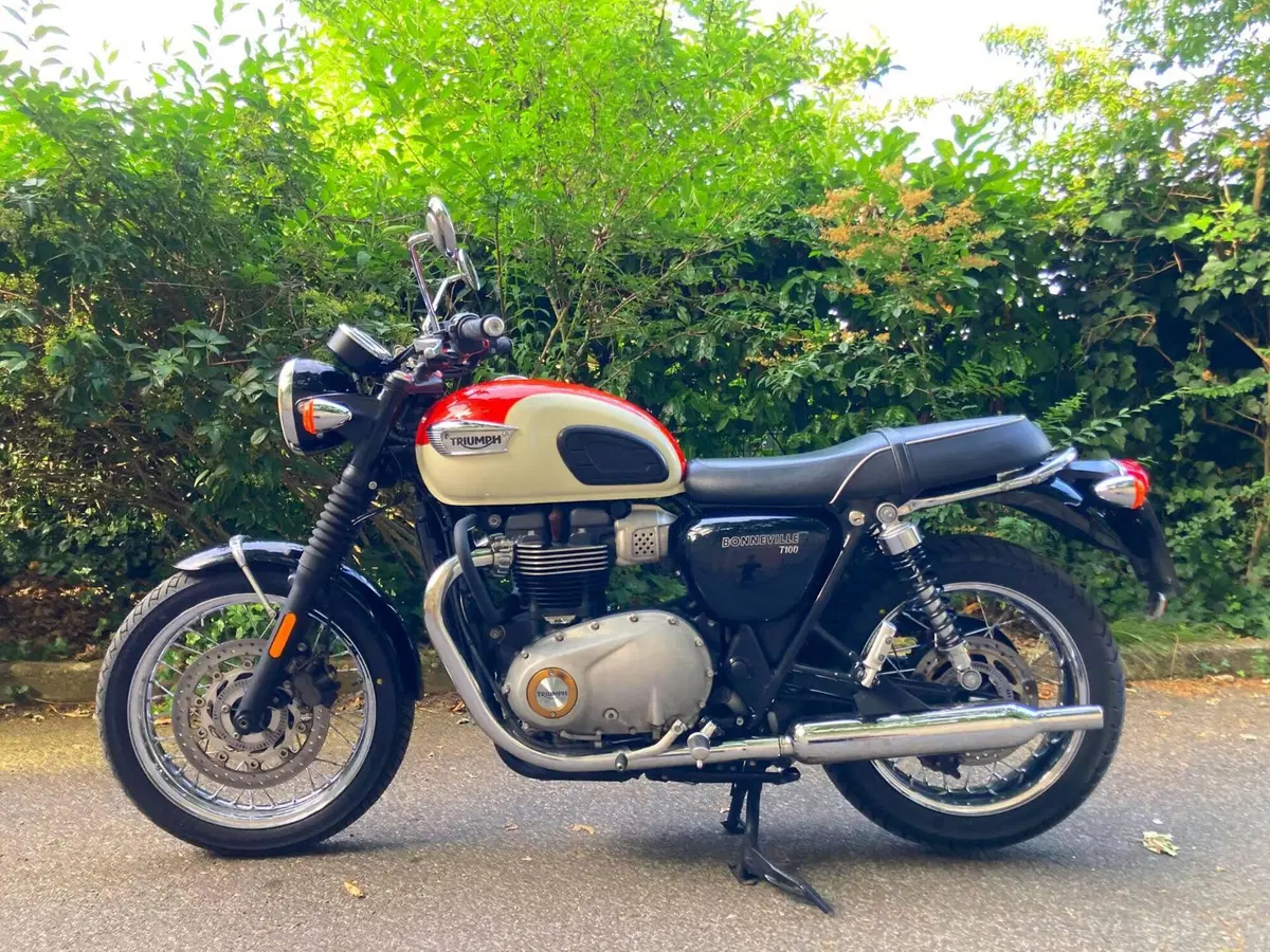Triumph Bonneville T100 (2017 - 20) (7)