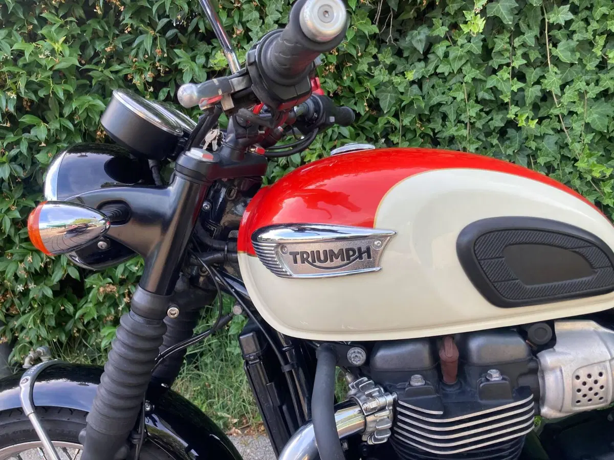 Triumph Bonneville T100 (2017 - 20) (8)