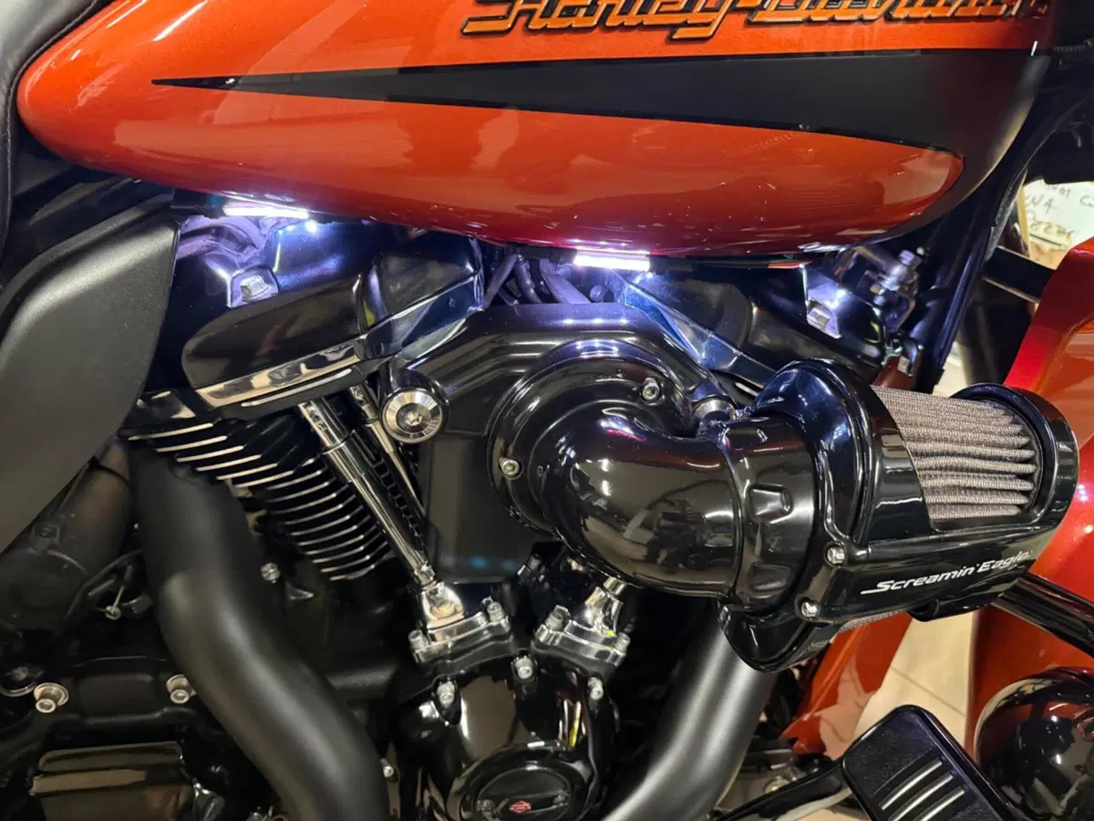 Harley-Davidson 114 Road Glide Special (2019 - 20) - FLTRXS (14)