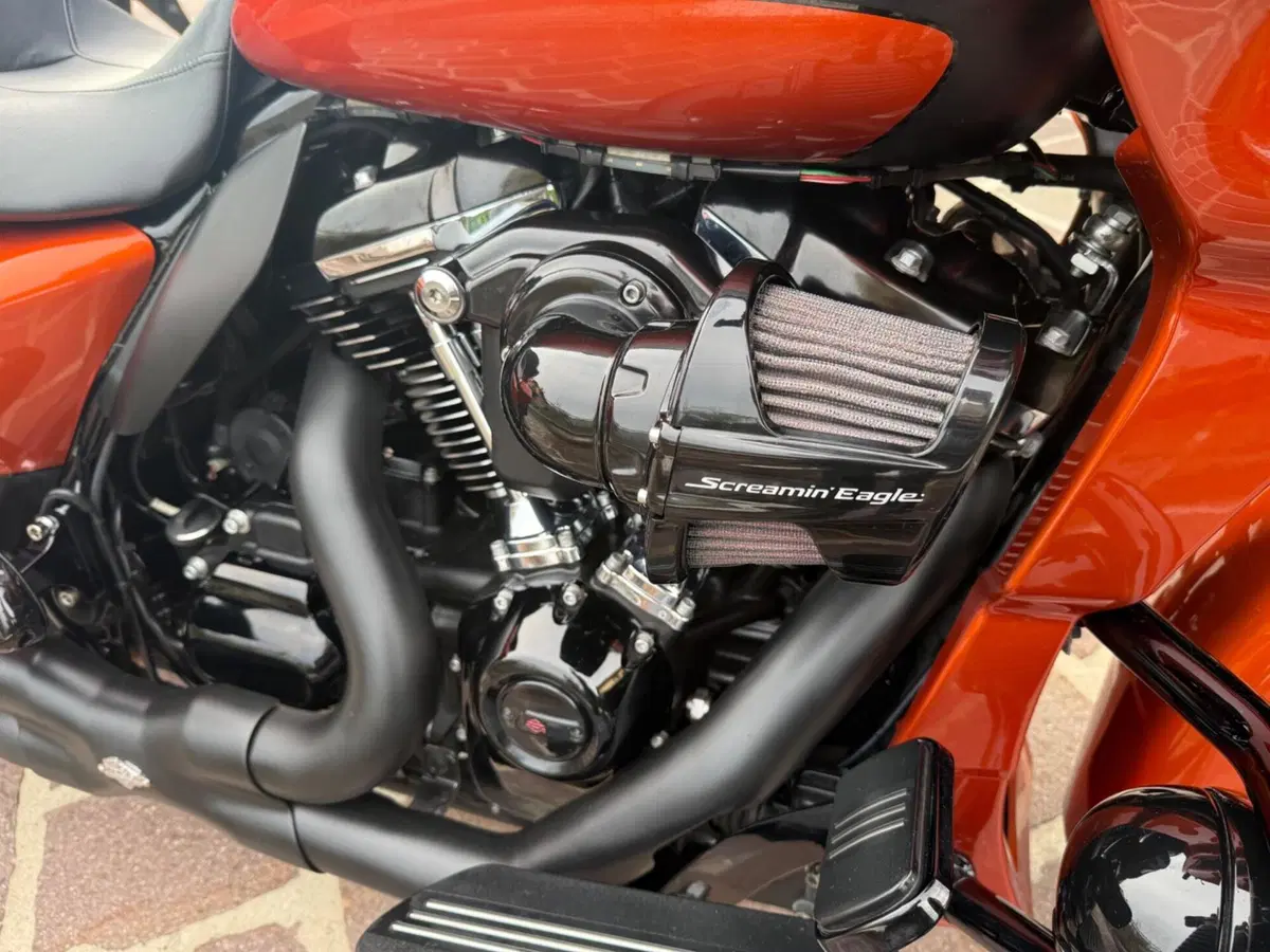 Harley-Davidson 114 Road Glide Special (2019 - 20) - FLTRXS (15)