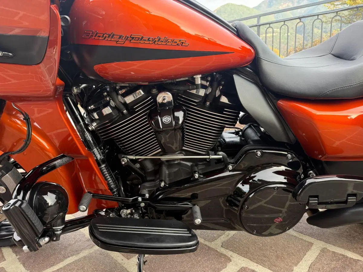 Harley-Davidson 114 Road Glide Special (2019 - 20) - FLTRXS (7)