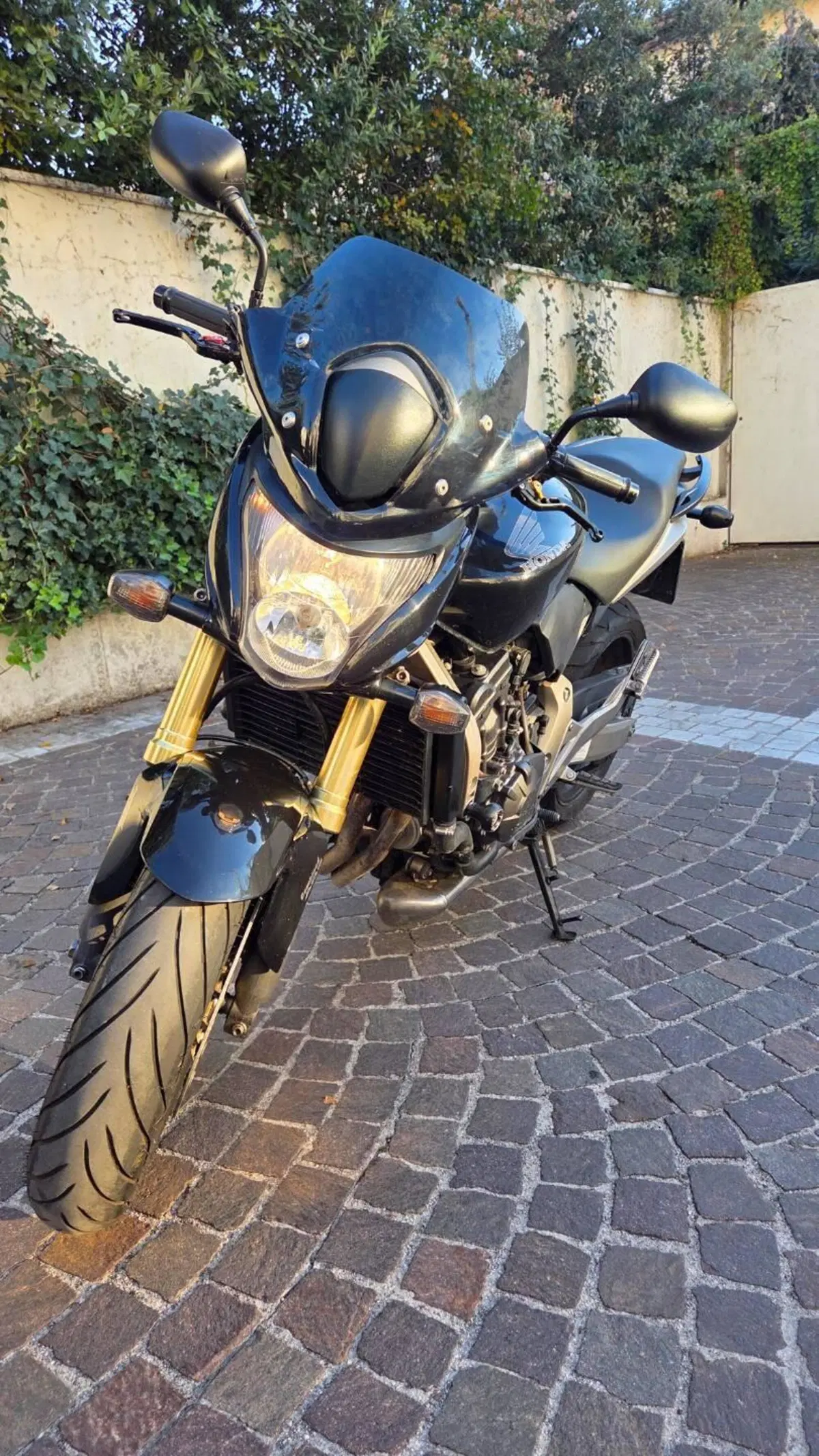 Honda Hornet 600 (2007 - 10)
