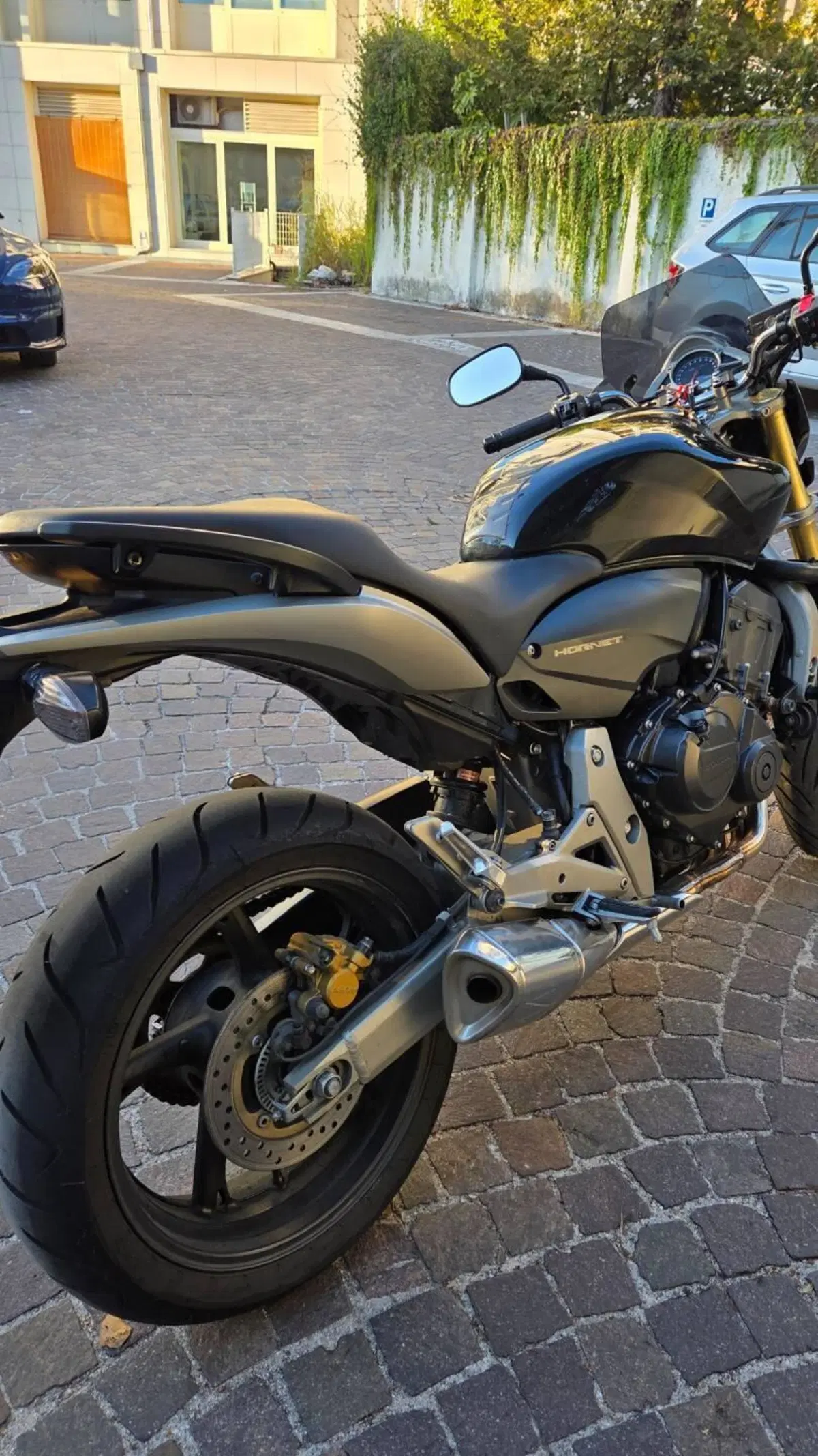 Honda Hornet 600 (2007 - 10) (4)