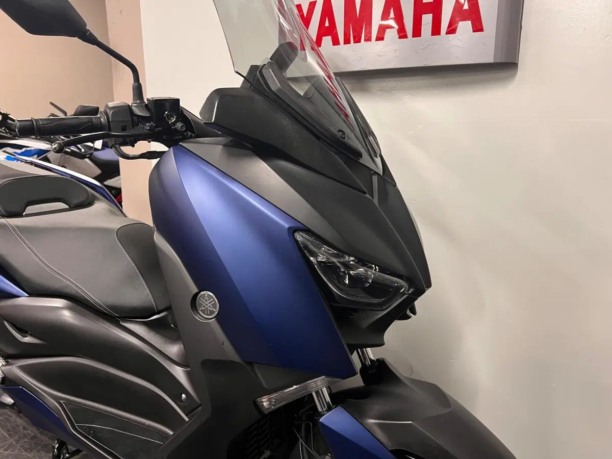 Yamaha X-Max 300 ABS (2017 - 20) (2)