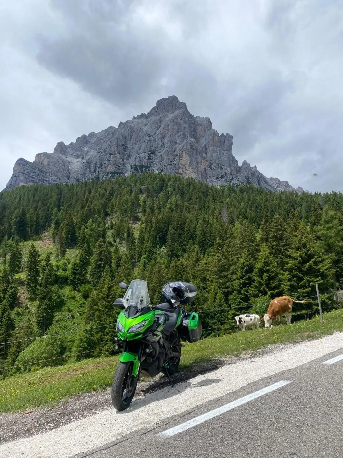 Kawasaki Versys 650 Grand Tourer (2017 - 20) (4)