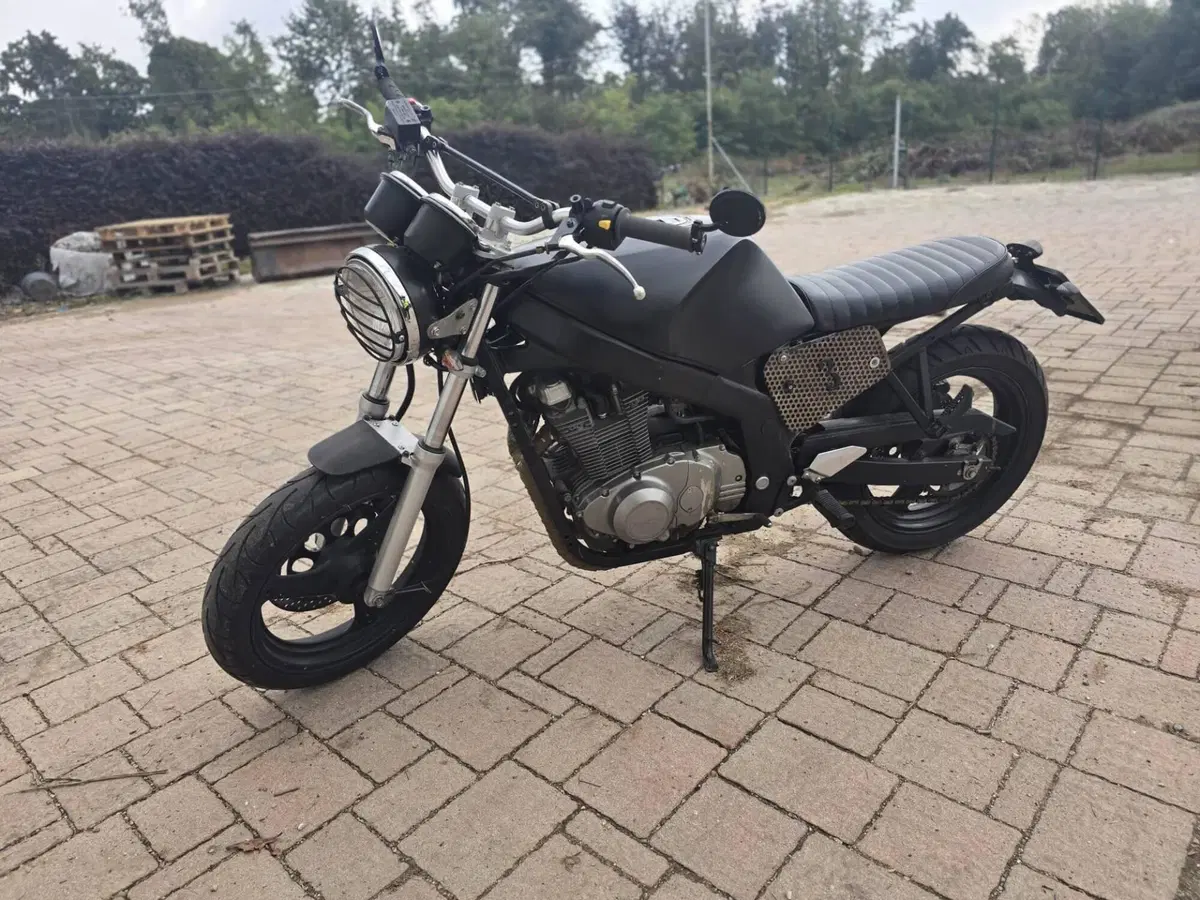 Suzuki GS 500 (2001 - 06)