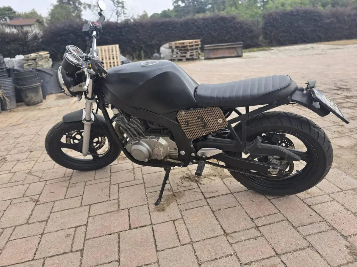 Suzuki GS 500 (2001 - 06) (3)
